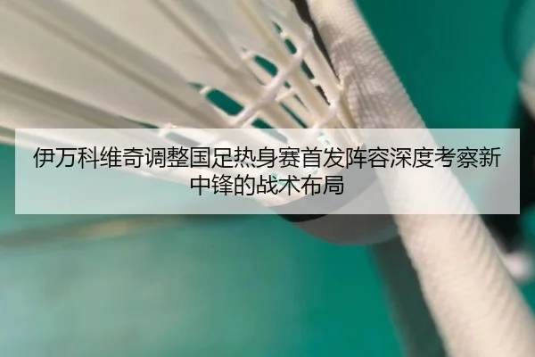 伊万科维奇调整国足热身赛首发阵容深度考察新中锋的战术布局 | BAJIESPORTS