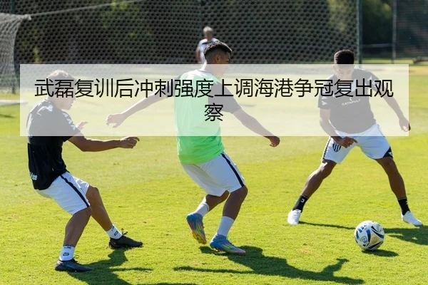 武磊复训后冲刺强度上调海港争冠复出观察 | BAJIESPORTS
